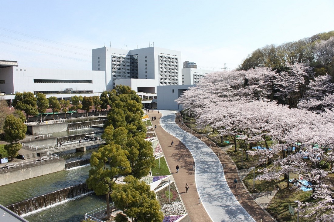 中央大学(文学部―一般入試・英語外部検定試験利用入試)